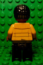 finn
